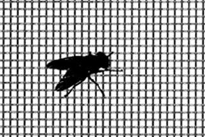 Mosquito Wire Mesh